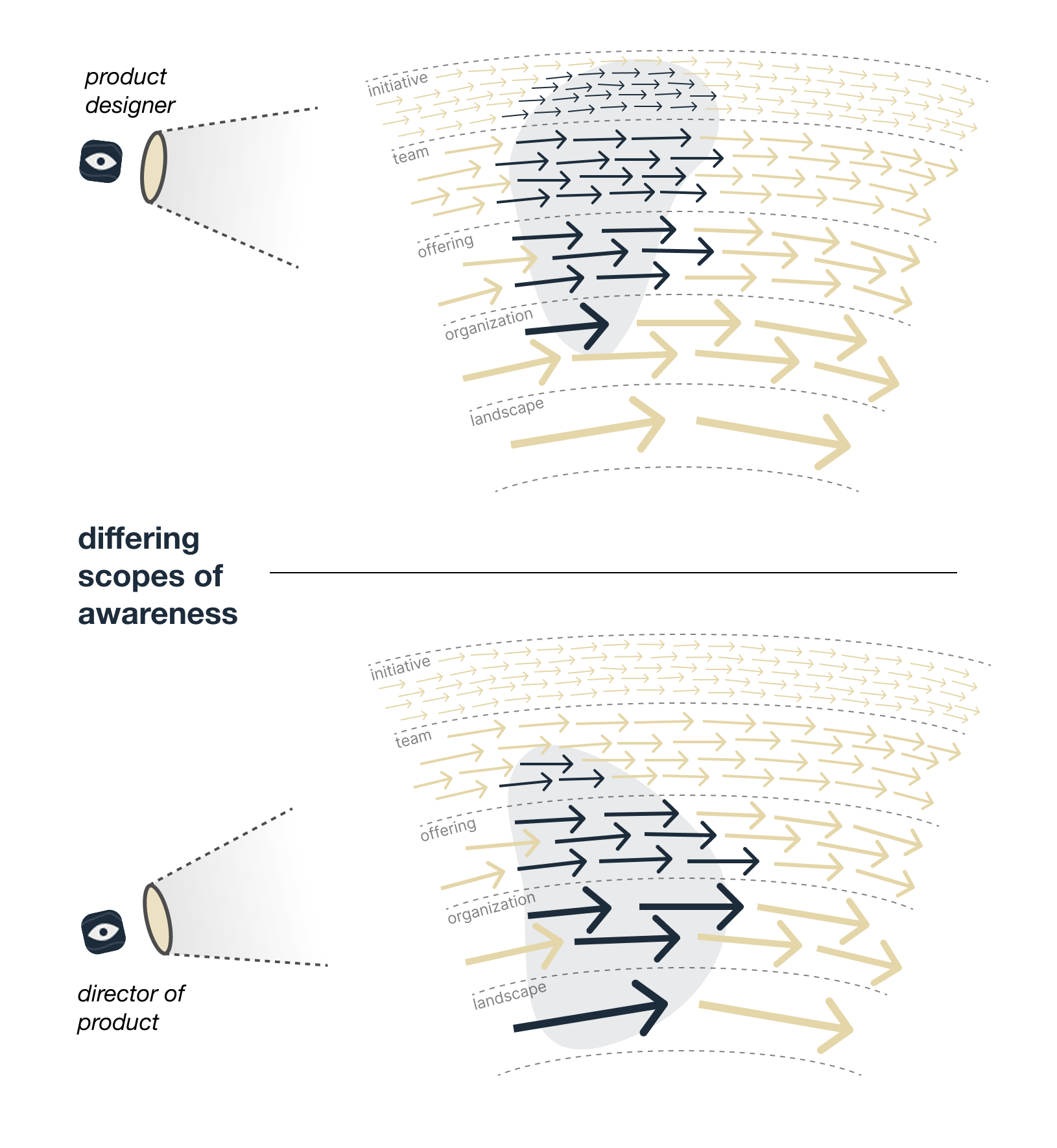 A less senior role in the organization sees more of what is actually happening at a given moment.