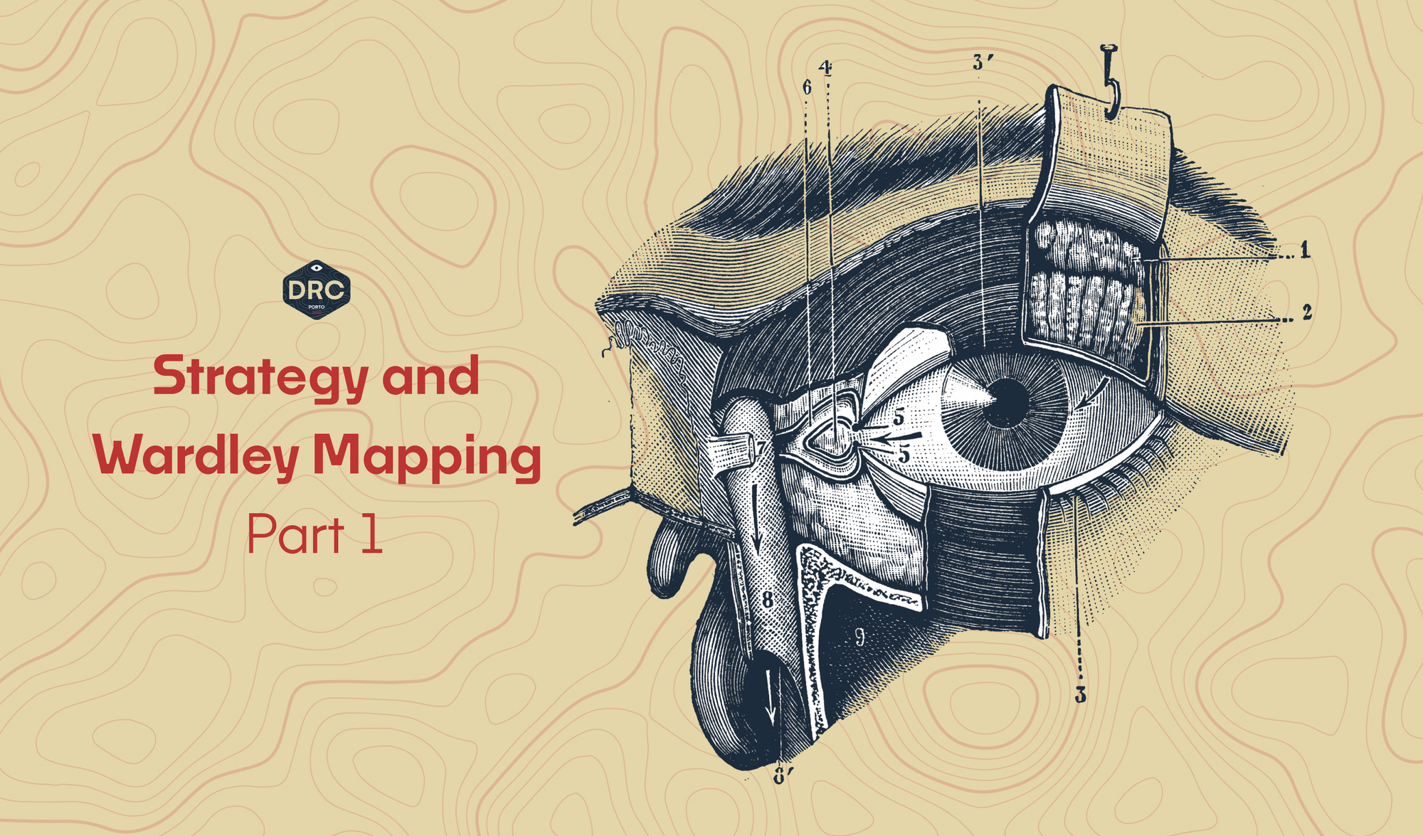 Strategy and Wardley Mapping - Part 1